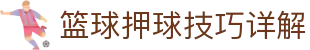 赛事分析平台聚焦足球篮球数据解读、赔率观察与赛前参考